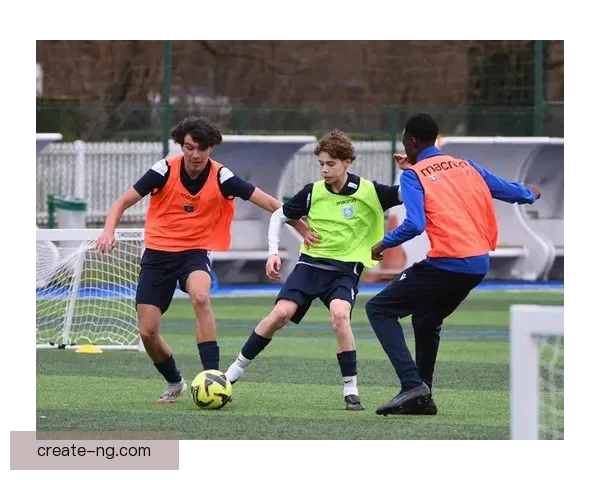 欧塞尔俱乐部百年风云与法甲荣耀传承之路探索历史与未来展望全景